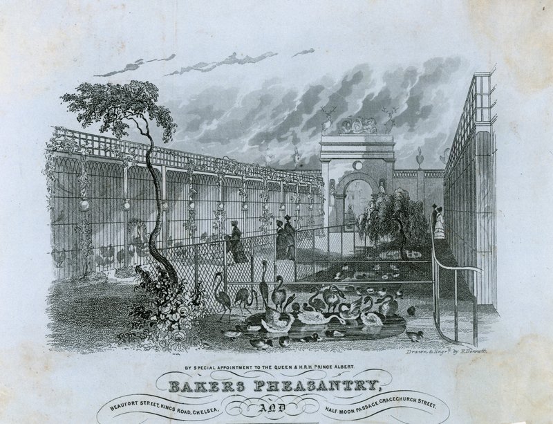 Bażantarnia Bakers, Chelsea autorstwa English School