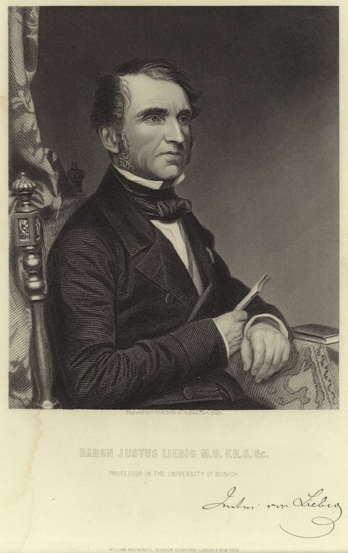 Baron Justus Liebig autorstwa English School