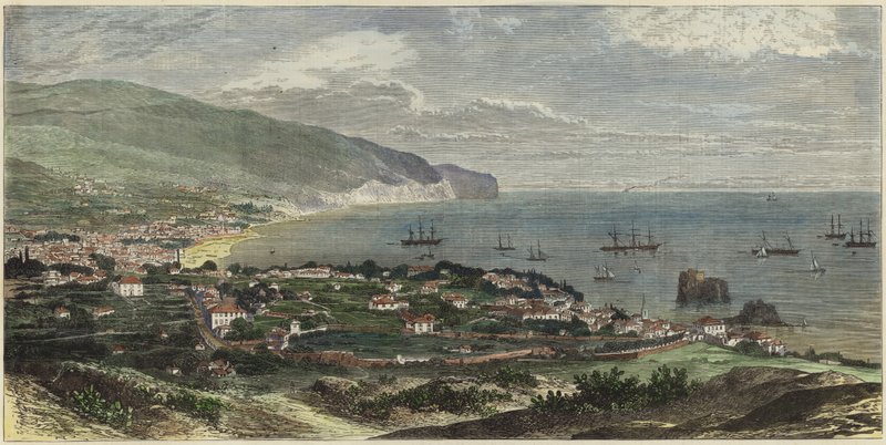 Zatoka i miasto Funchal autorstwa English School