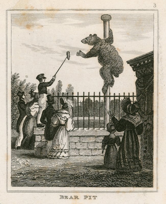 Bear Pit, Londyńskie Ogrody Zoologiczne, Regents Park autorstwa English School