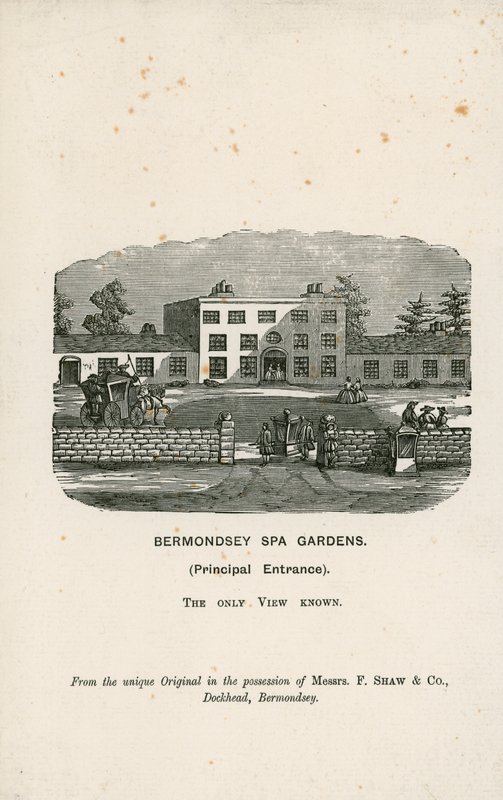 Ogrody spa Bermondsey autorstwa English School