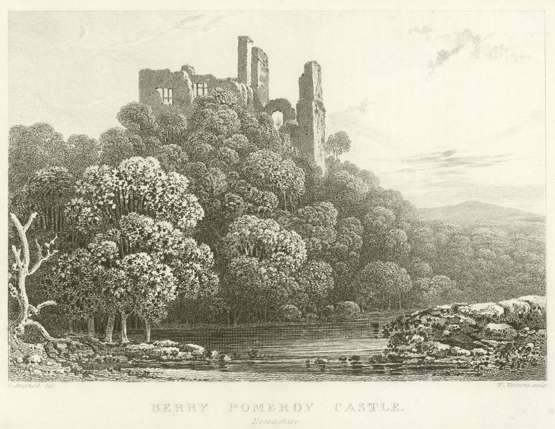 Zamek Berry Pomeroy, Devonshire (grawerowanie) autorstwa English School