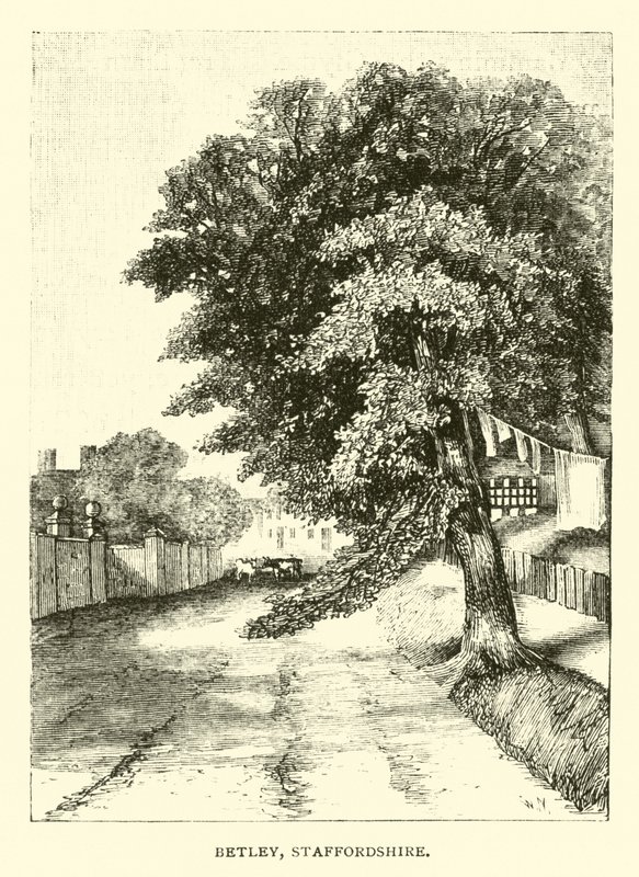 Betley, Staffordshire autorstwa English School