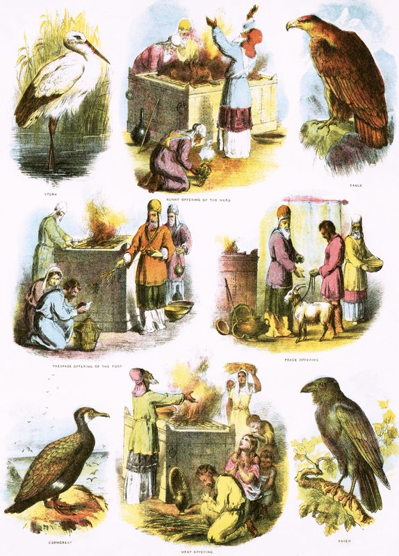 Ilustracje biblijne autorstwa English School