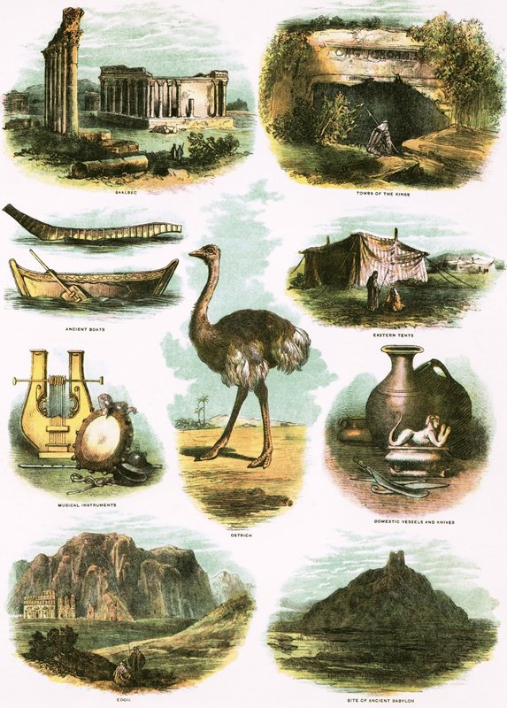 Ilustracje biblijne autorstwa English School