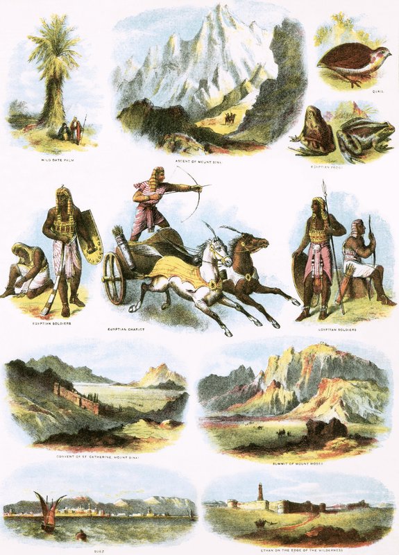 Ilustracje biblijne autorstwa English School
