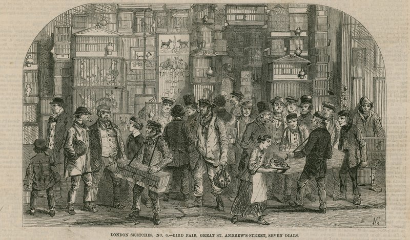 Targi ptaków, Great St Andrews Street, Seven Dials, Londyn autorstwa English School
