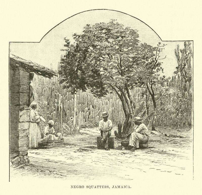 Czarni lokatorzy, Jamajka autorstwa English School
