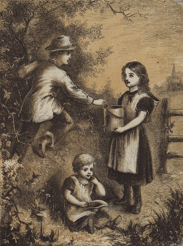 Jeżyna (kolorowy grawer) autorstwa English School