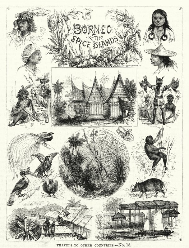 Borneo i Wyspy Przypraw (grafika) autorstwa English School