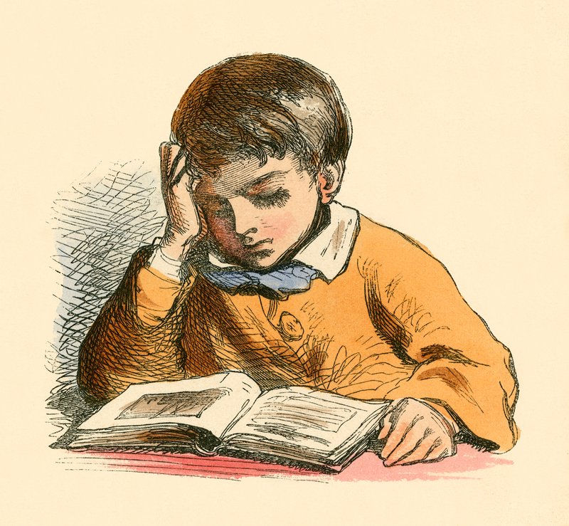 Chłopiec czytający autorstwa English School