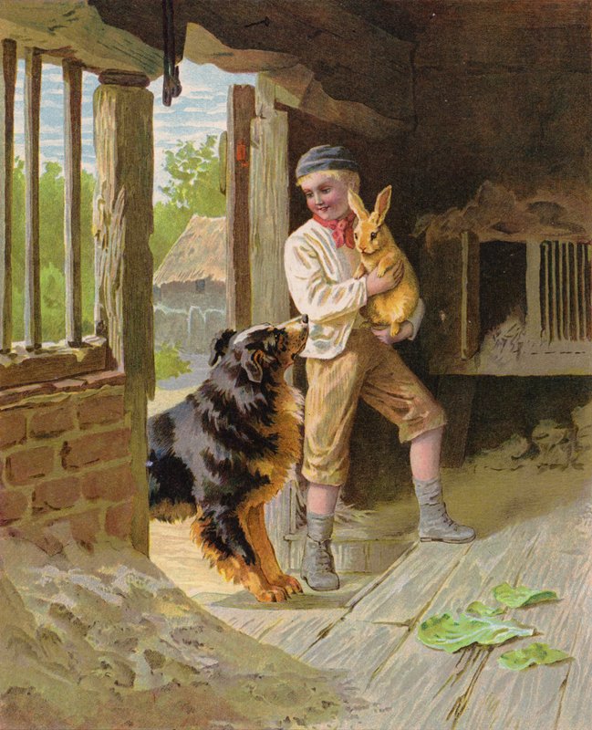 Chłopiec z psem i królikiem na farmie (chromolitho) autorstwa English School