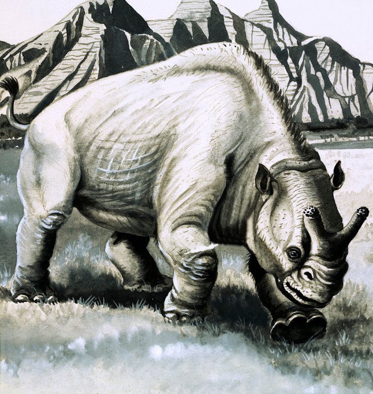Brontotherium z epoki oligocenu autorstwa English School
