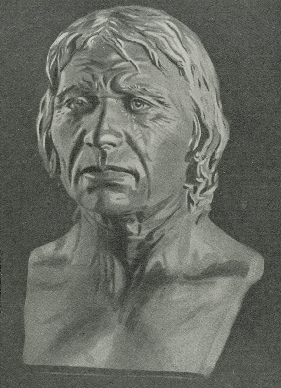 Popiersie człowieka z Cro-Magnon autorstwa English School