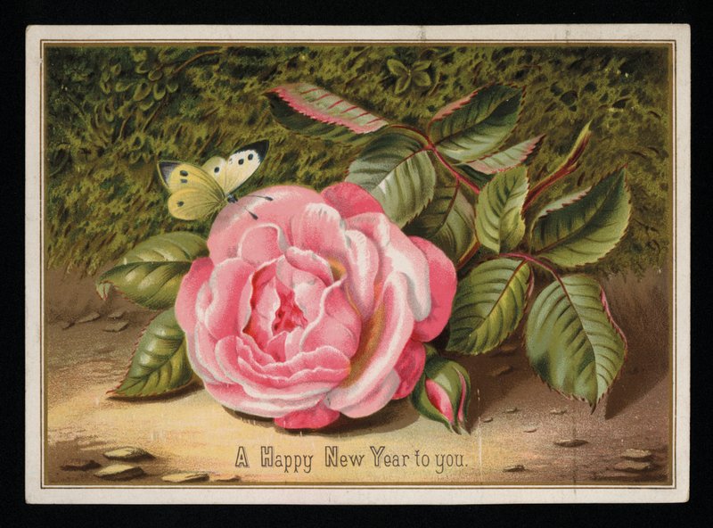 Motyl z różową różą, kartka z życzeniami noworocznymi (chromolitho) autorstwa English School