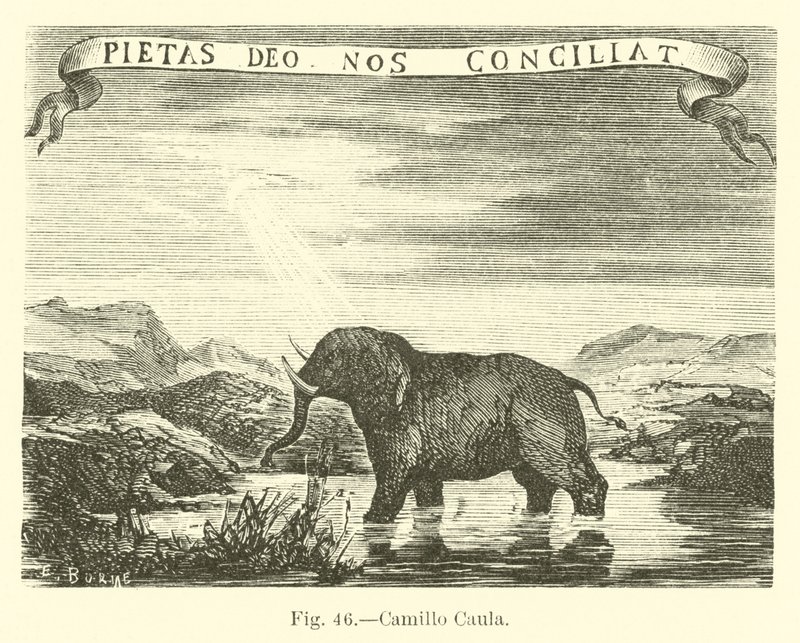 Camillo Caula autorstwa English School