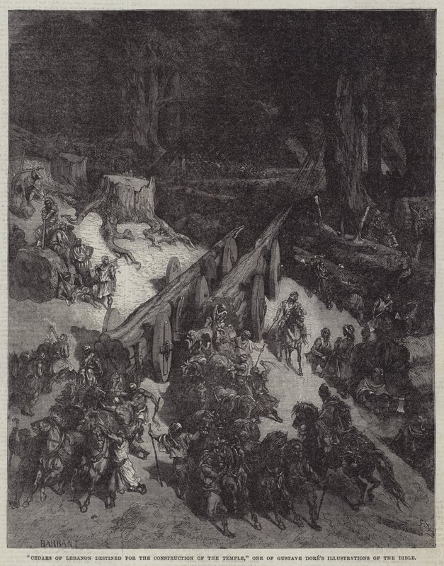 „Cedry Libanu przeznaczone do budowy świątyni”, jedna z ilustracji Biblii Gustave