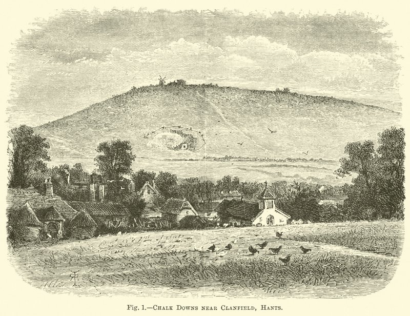 Chalk Downs w pobliżu Clanfield, Hants autorstwa English School