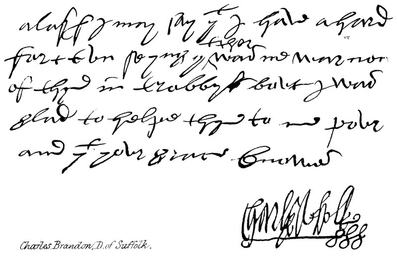 Charles Brandon, D z Suffolk autorstwa English School