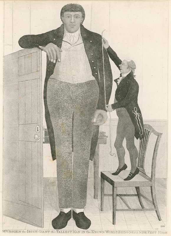Charles Byrne, znany również jako OBrien the Irish Giant, najwyższy człowiek w znanym świecie, mający prawie dziewięć stóp wzrostu autorstwa English School