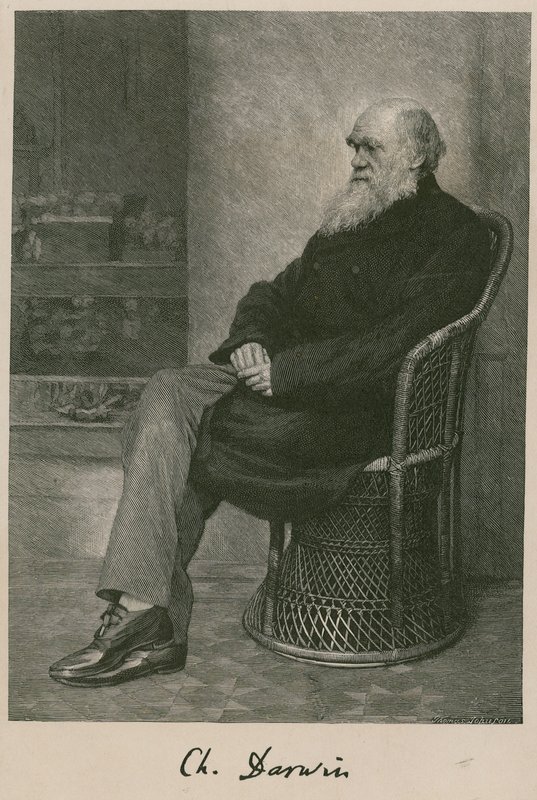 Karol Darwin autorstwa English School