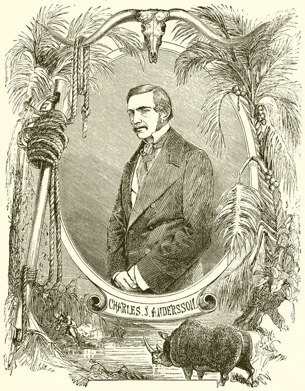Charles J. Anderson autorstwa English School