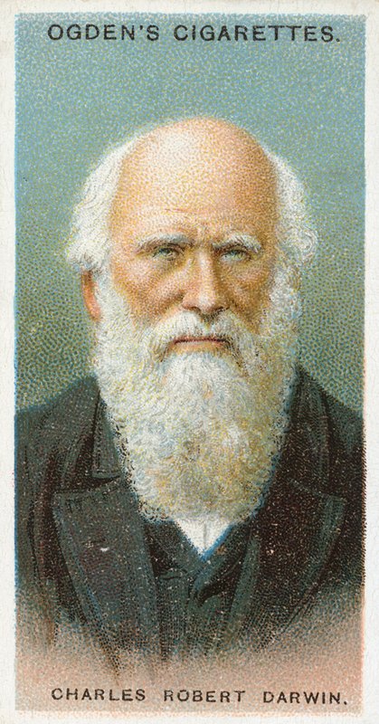 Karol Robert Darwin autorstwa English School