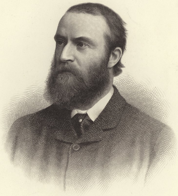 Charles Stewart Parnell autorstwa English School