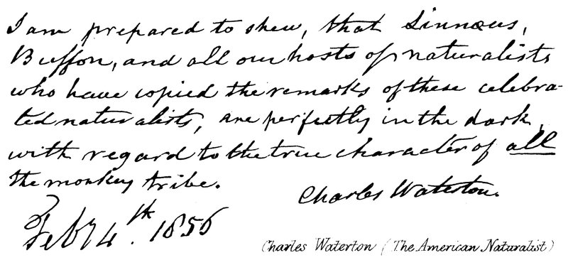 Charles Waterton (amerykański przyrodnik) autorstwa English School
