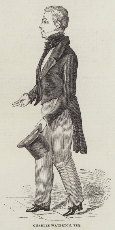 Charles Waterton, Esquire (Grawerowanie) autorstwa English School