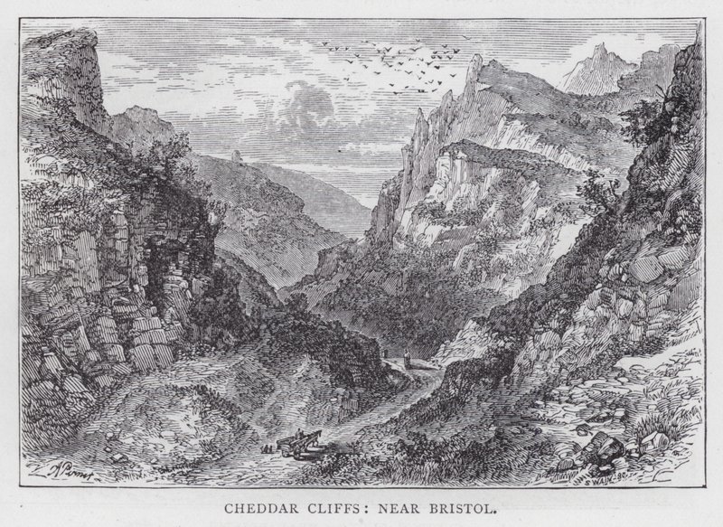 Cheddar Cliffs, niedaleko Bristolu (rycina) autorstwa English School