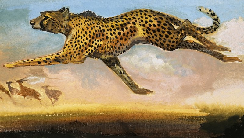 Gepard autorstwa English School