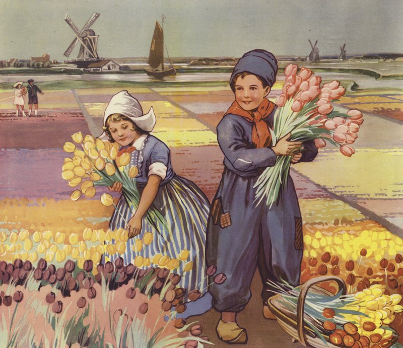 Dzieci zbierające tulipany w Holandii (kolorowa litografia) autorstwa English School
