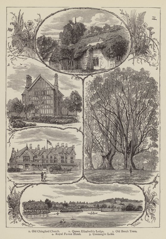 Chingford (grawerunek) autorstwa English School
