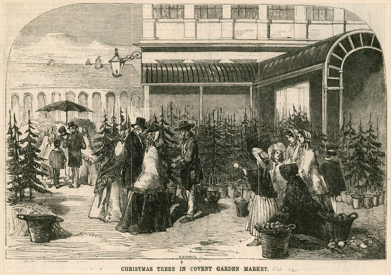Choinki na targu Covent Garden w Londynie autorstwa English School