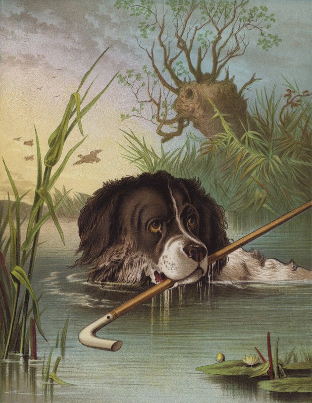Sprytna kreska (chromolitho) autorstwa English School