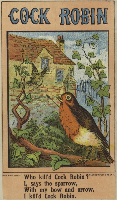 Kogut Robin autorstwa English School