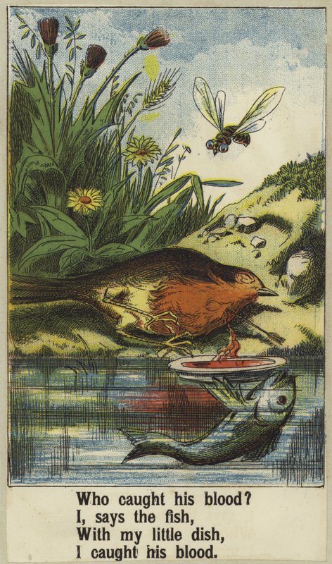 Kogut Robin autorstwa English School