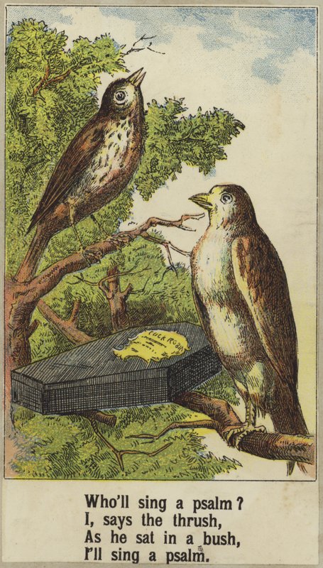 Kogut Robin autorstwa English School