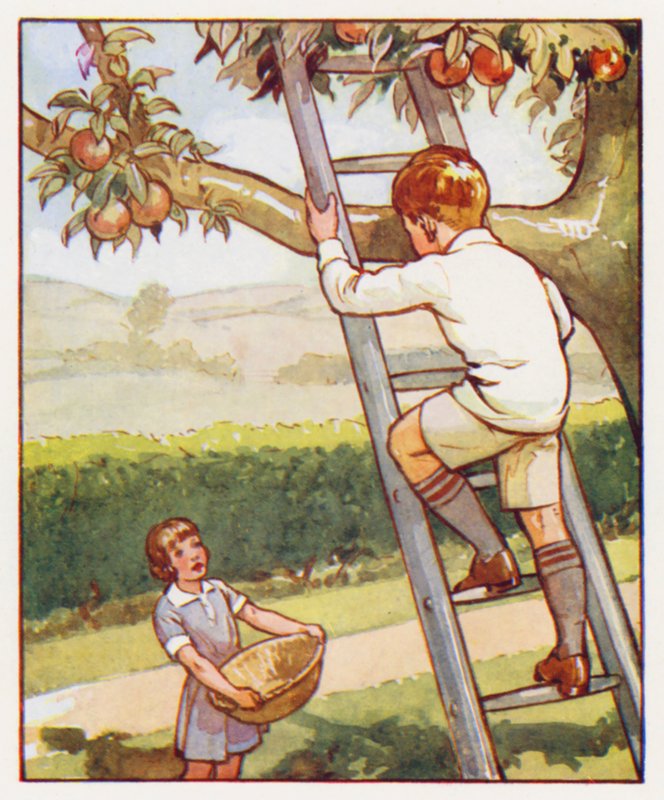 Polecenia: Ostrożnie wspinaj się po drabinie (kolorowa litografia) autorstwa English School
