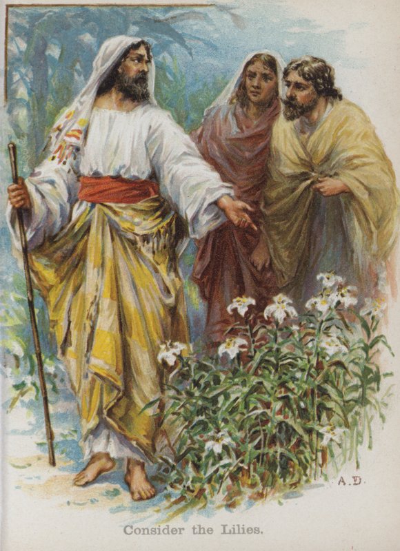 Rozważmy Lilie (chromolitho) autorstwa English School