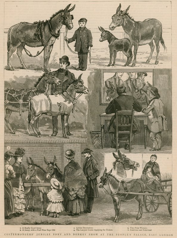 Costermongers Jubilee Pony and Donkey Show w Peoples Palace we wschodnim Londynie autorstwa English School