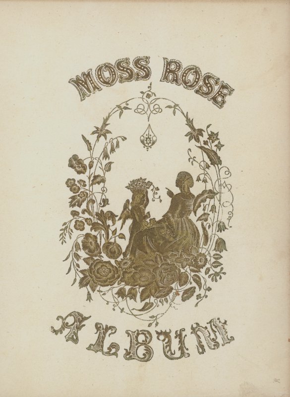 Ilustracja na okładkę albumu Moss Rose (kolorowa litografia) autorstwa English School