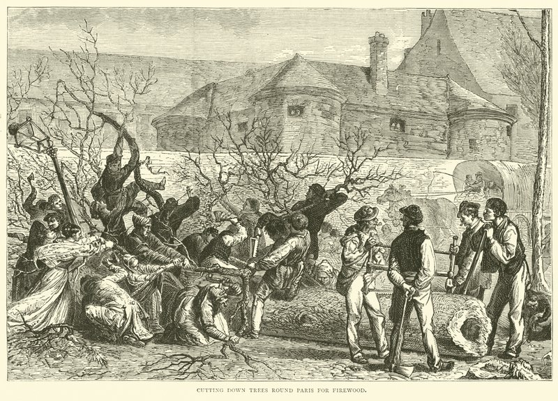 Wycinanie drzew wokół Paryża na drewno na opał, październik 1870 autorstwa English School