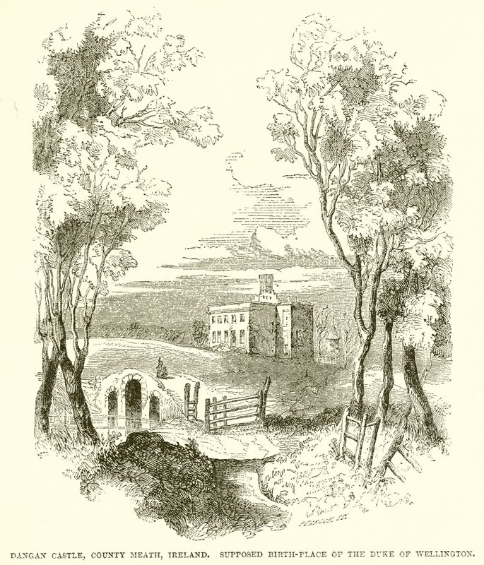 Zamek Dangan, Hrabstwo Meath, Irlandia. Domniemane miejsce urodzenia księcia Wellington autorstwa English School