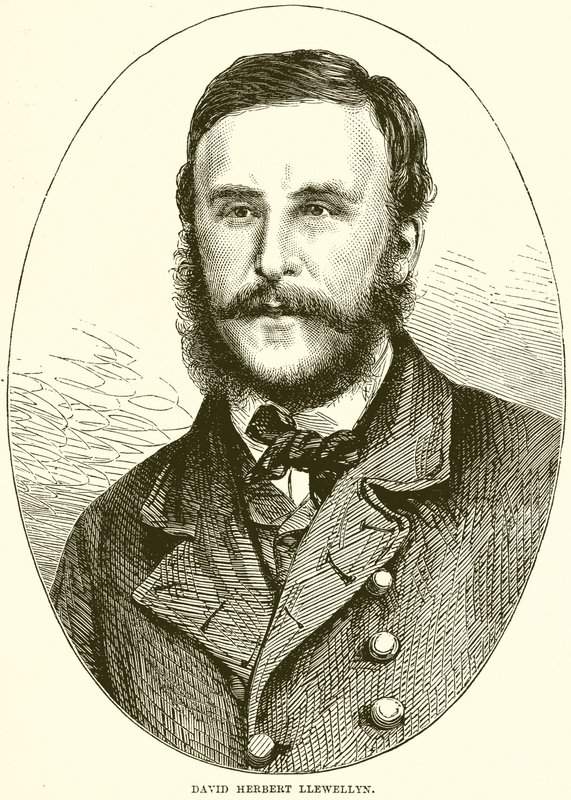 David Herbert Llewellyn autorstwa English School