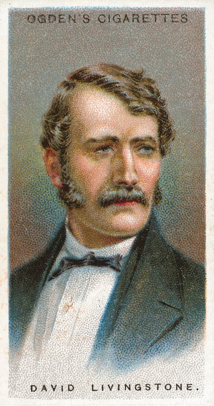 David Livingstone autorstwa English School