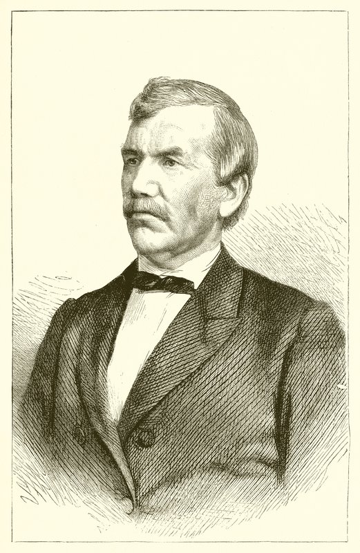 David Livingstone autorstwa English School