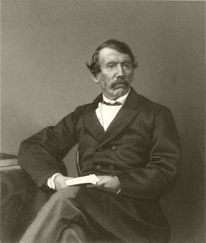 David Livingstone autorstwa English School