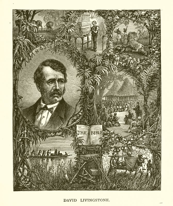 David Livingstone autorstwa English School